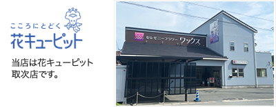 花キューピット
